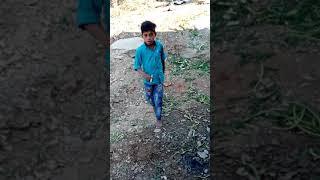 Stylish Manu bawa