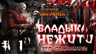 Влад Фон Карштайн - Графства Вампиров ► Total War Warhammer 3 - [#1] - SFO Grimhammer 3