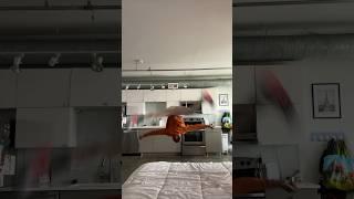 GYMNASTICS CHALLENGE‍️ #gymnast (ig:Ellingtonh_)