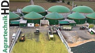 Maize harvest for biggest biogas plant | Claas Jaguar 980 with FENDT tractors