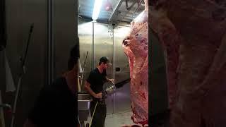 Splitting beef butcher jarvis wellsaw