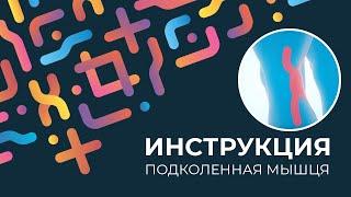 Kinexib - тейпирование подколенной мышцы