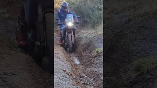 CFMOTO 450MT vs Boggy Ruts. #nomatch #450mt #cfmoto #bog #ruts #deep #hole #ride #adventure #bike