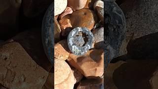 Belemnite with quartz  #beach #belemnite #fossil #quartz