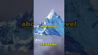 The World's Tallest Mountain ️