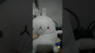 Molang Plush Stuffed Toy Korea #shorts #kawaii #cute #animal #rabbit #molang #bunny #pets