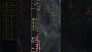 cyclone v zergling#shorts