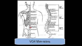 VG4 Мин-мэнь