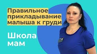 Грудное вскармливание: правильное прикладывание малыша к груди / Наталья Харитонович