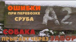 Главная ошибка в перевозке сруба