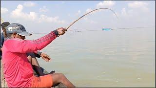 নৌকায় বসে নদীতে অস্থির মাছ ধরা | বড়শি দিয়ে বাইম মাছ ধরার পদ্ধতি | River Fishing