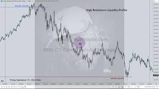 ICT Tutelage Seek & Destroy Profile VS. High Resistance Liquidity Profile