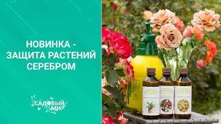 Новинка - защита растений серебром