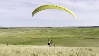 Не падай. Вставай и лети. FlyDay camp