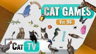 CAT Games | Ultimate Cat TV Compilation Vol 96 | 6 HOURS  