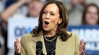 Kamala Harris slammed for supporting open borders in resurfaced clip