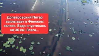 Допетровский Питер всплывает в Финском заливе. Вода опустилась на 36 см. Всего