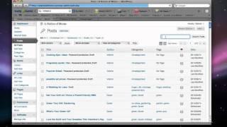 WordPress for Beginners Tutorial- Posting Part 1b