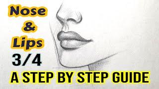 Drawing & Shading Nose and Lips : Beginner's Guide | How to Sketch Perfect Nose & Lips Easy Lesson