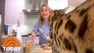 Watch Giada De Laurentiis’ Cat Disrupt Her Cooking Segment On TODAY | TODAY