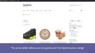WooCommerce Product Filter plugin by WooBeWoo