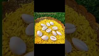 Natural Mahalaxmi White Sozhi / Cowrie