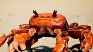 OLD CRAB FLEXMOVIE