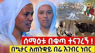 bermel Georgis ሀጢያትና ፅድቄን አሳይቶ በግራ ያለውን ሰልፍ አሳየኝ አስደንጋጭ ! | በርሜል ቅዱስ ጊዮርጊስ ክፍል 2 #orthodox