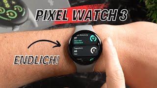 Google Pixel Watch 3 Testbericht:Viele Sport & Fitness Updates!