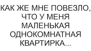 Как же мне повезло, что у меня маленькая однокомнатная квартирка...