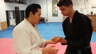 손목뒤집기 Aikido hapkido Handgelenkhebel