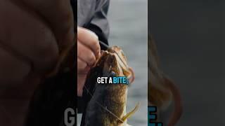 The JTX Mag Light might just be the rod of the summer….  #walleye #walleyefishing #fishing #shorts