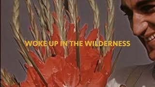 Luxury "The Wilderness" (Official Lyric Video)