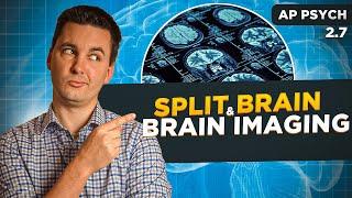 Split-Brain & Tools for Examining Brain Structure & Function  [AP Psychology Unit 2 Topic 7]