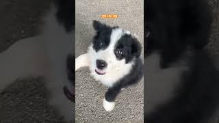 ㅠㅠ