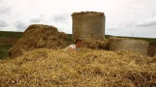 straw in my ass