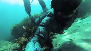 MEMENTO X FREEDIVING // "A Short Film on Freediving by Tattoo Artist Jimmy Memento"