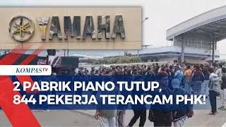 Usai Sritex, 2 Pabrik Piano Yamaha Ikut Tutup, Ratusan Karyawan Terancam PHK!