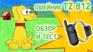 Почему электронный ошейник для собак TZ 812 лучший? Обзор