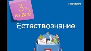 Естествознание. 3 класс. Красная книга /05.10.2020/