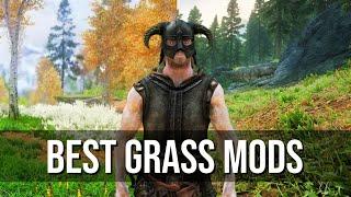 Best Skyrim Grass Mods of the Year | Comparison | Skyrim SE (PC)