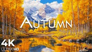 Cozy Autumn AmbienceThe Warm Essence of Fall - 4K Beauty with Deep Relaxing Music