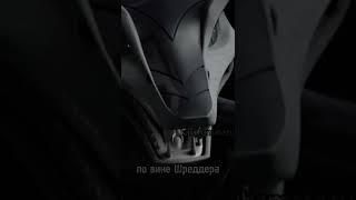 Мутация Карай