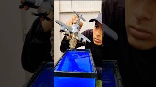 BOMBARDIRO CROCODILO TURNED BLUE BRAINROT ANIMALS REAL LIFE #Shorts