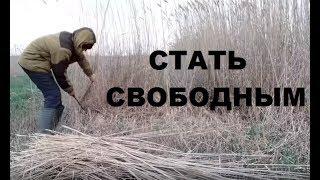 Как стать свободным и независимым: деньги, еда, жильё, мысли.