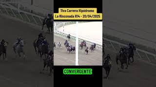 CONVERGENTE - 11va Carrera hipódromo La rinconada R14 #inh #caballos #foryou #hipismo #parati