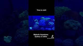 Visit