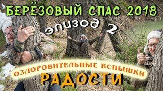 Сбор берёзового сока с травником Гордеевым. Полезно, познавательно и весело!