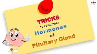 Memorize Pituitary Hormones in Minutes: Easy Tricks to Remember | Biology | The Science Funda