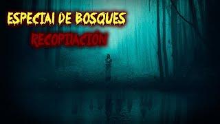 Especial De Bosques (Recopilación) Historias De Terror - REDE